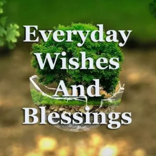 How to Use Daily Blessings in Your Life